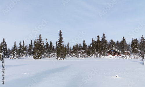 Winter Cabin photo