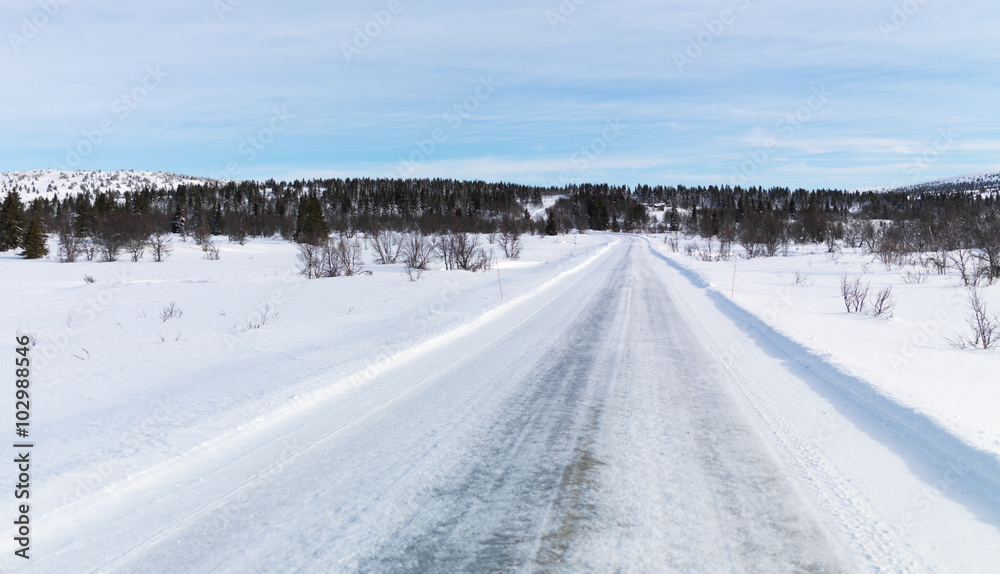 Obraz premium Winter Road