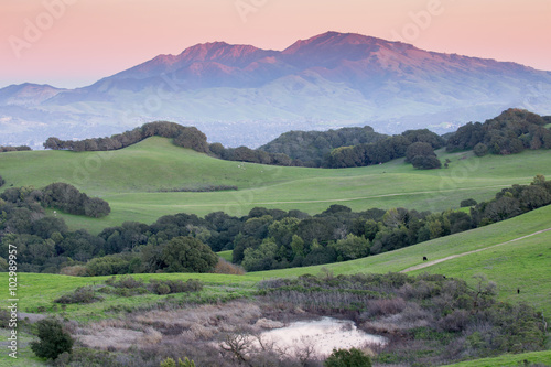 Sunset over Mount Diablo from Rolling Grassy Hills of Briones Regional Park. Taken from Mott Peak in Contra Costa County, California, USA. photo
