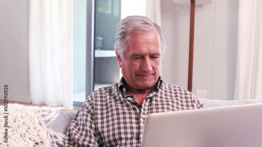 Handsome mature man using laptop on the couch Handsome mature man using laptop on the couch