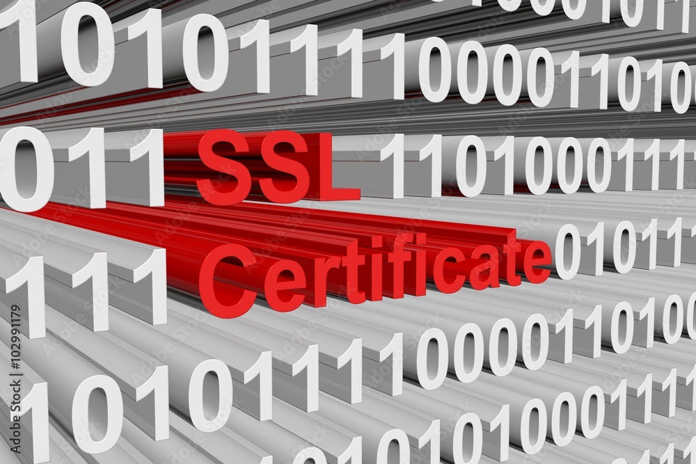 the ssl certificate represented in a binary code