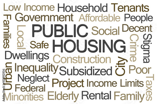 Public Housing Word Cloud