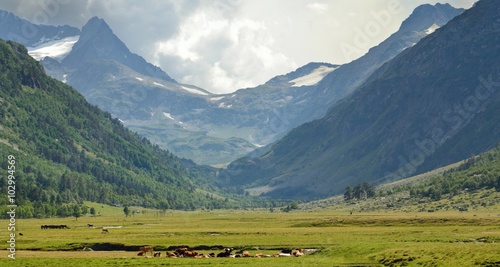 Valley in Caucasus