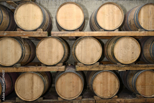 oak barrels in a cellar during wine aging process