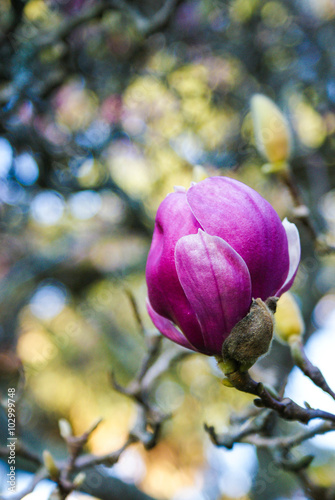 Coimbra Botanical Garden 