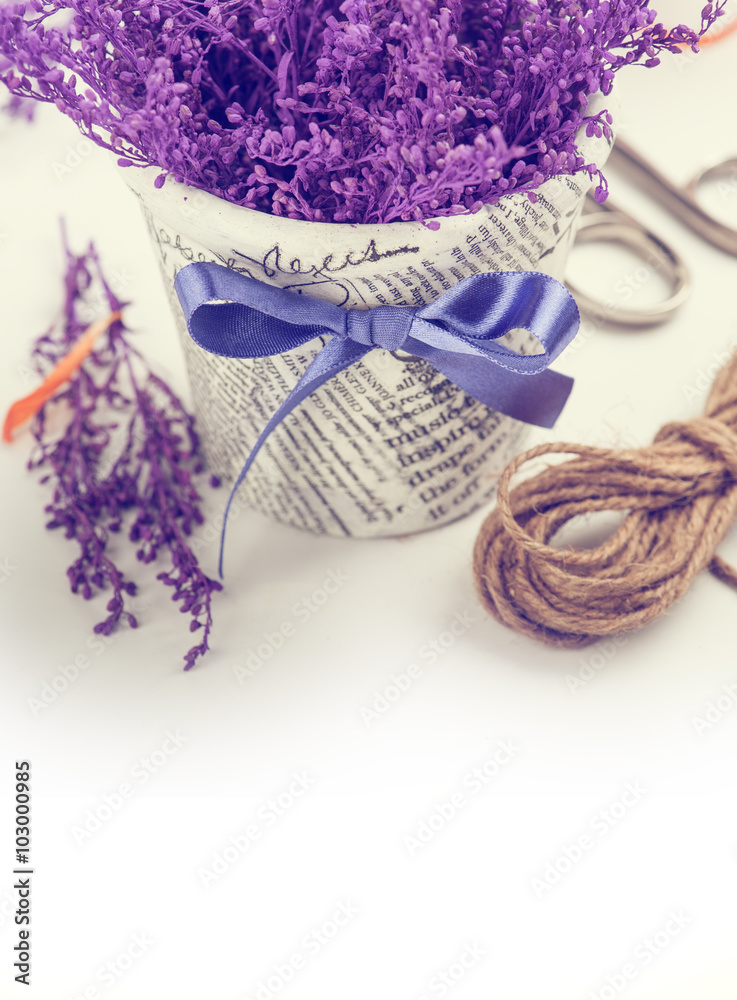 Fototapeta premium Twine and purple branches