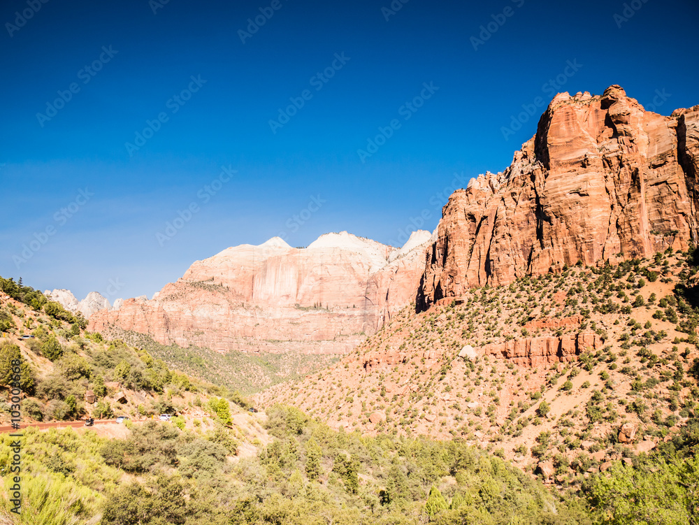 Fototapeta premium Zion National Park, Utah, USA