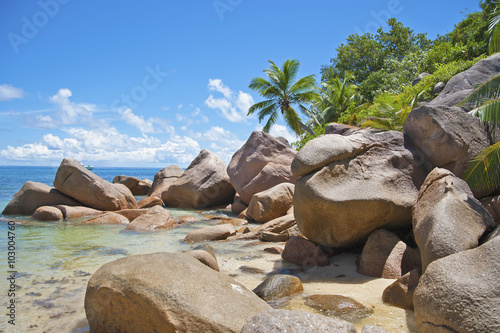 Boulders and palm trees on the coast of the Seychelles..