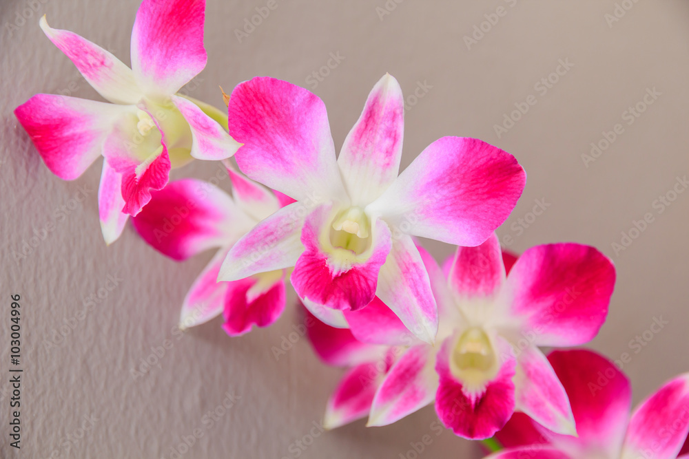 Beautiful bouquet of purple orchids