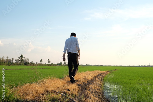 a man walking on the barrier of rice field