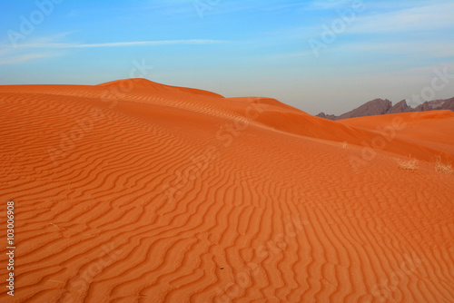 Arabian desert. United Arab Emirates.