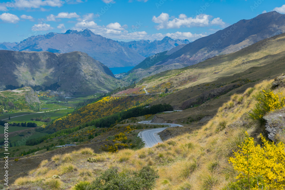 Fototapeta premium Mountain in New Zealand