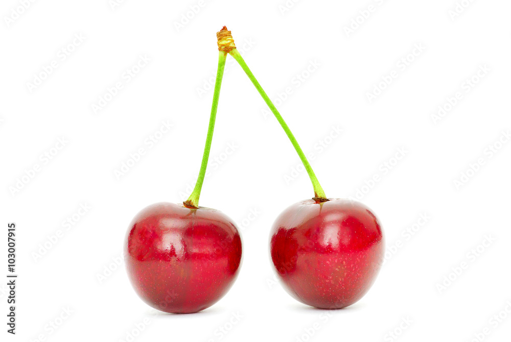 cherry cherry