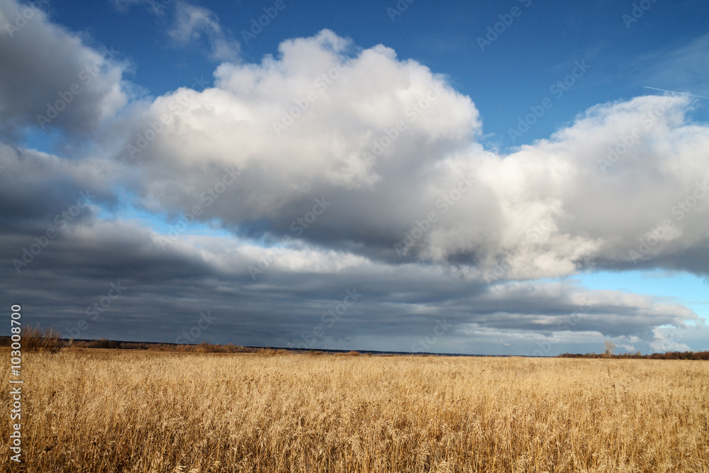 Field and clouds
