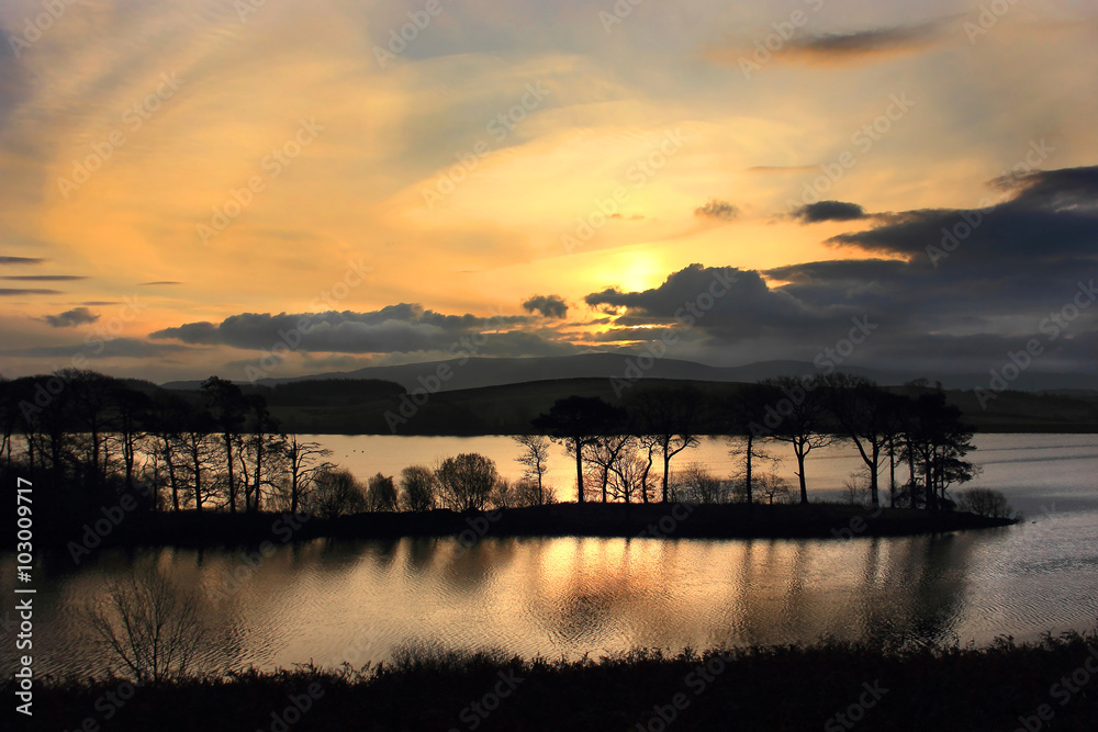 Fototapeta premium Lake & Woodland 2 - Cumbria UK