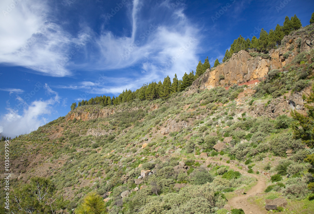 Gran Canaria, Caldera de Tejeda in February Gran Canaria, Caldera de Tejeda in February