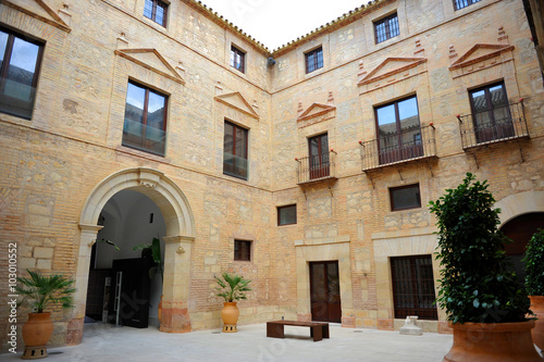 Palacio de los condes de Santa Ana, Lucena, provincia de Córdoba, Andalucía, España © joserpizarro