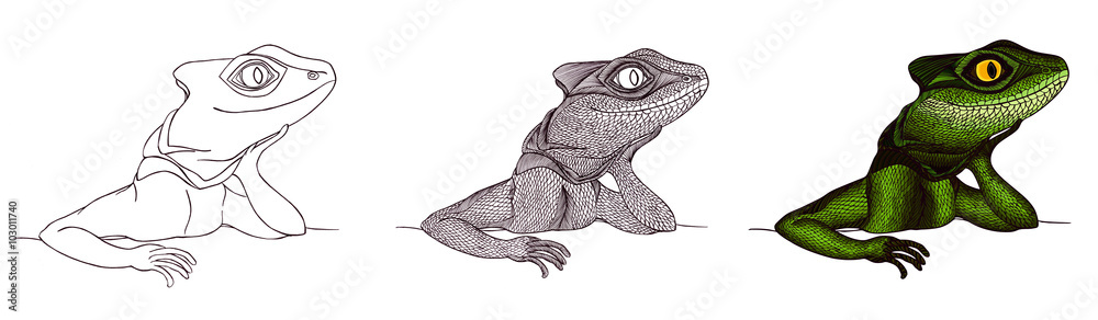 Fototapeta premium Profile Lizard. Hand drawn.tutorial drawing