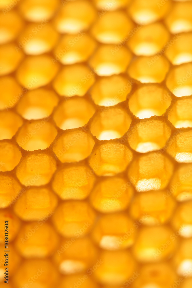 honeycomb closeup yellow abstract vertical background honeycomb closeup yellow abstract vertical background