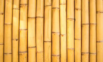 Bambus1702a