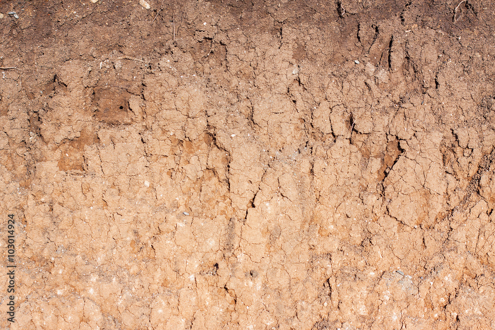 Soil cut in the steppe Soil cut in the steppe