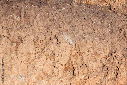 Soil cut in the steppe