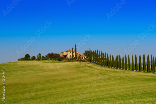 Villa in Tuscany with cypress road and blue sky, idyllic seasonal nature landscape vintage hipster background