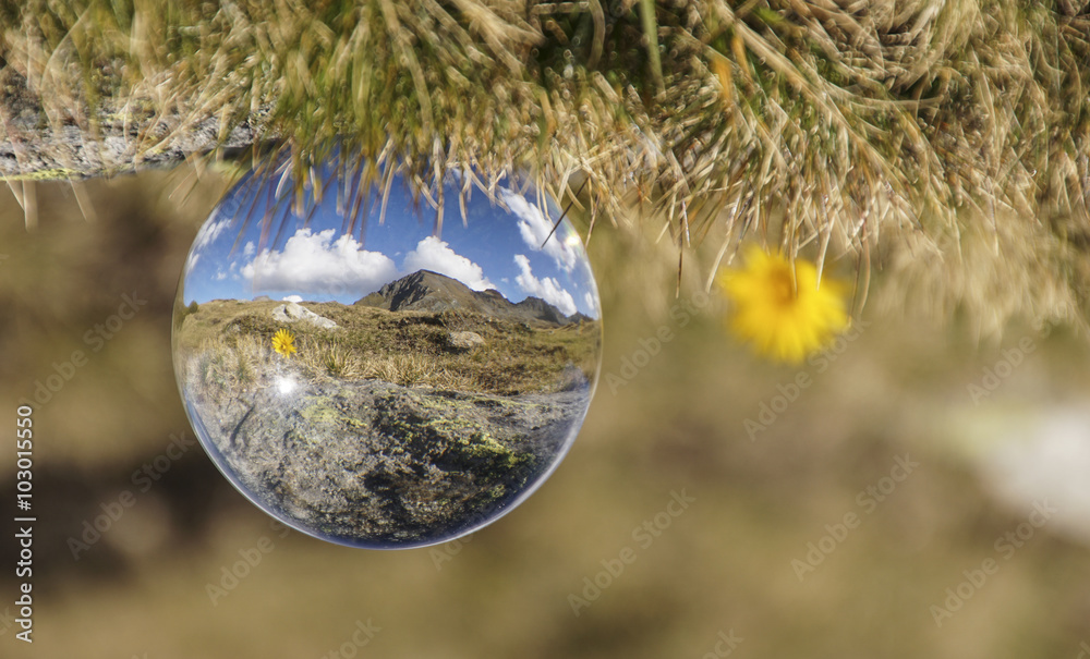 Bergblümchen in der Glaskugel