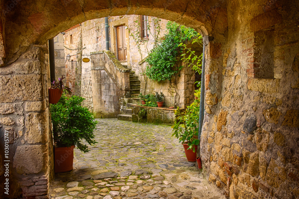Fototapeta premium Wąska ulica średniowiecznego miasta tuf Sorano z łuku, zielonych roślin i brukowiec, tło Włochy podróży