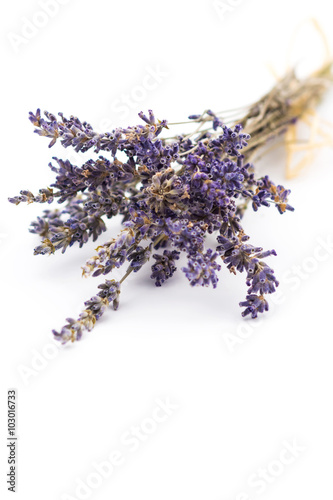 A bunch of lavender flowers on a white background