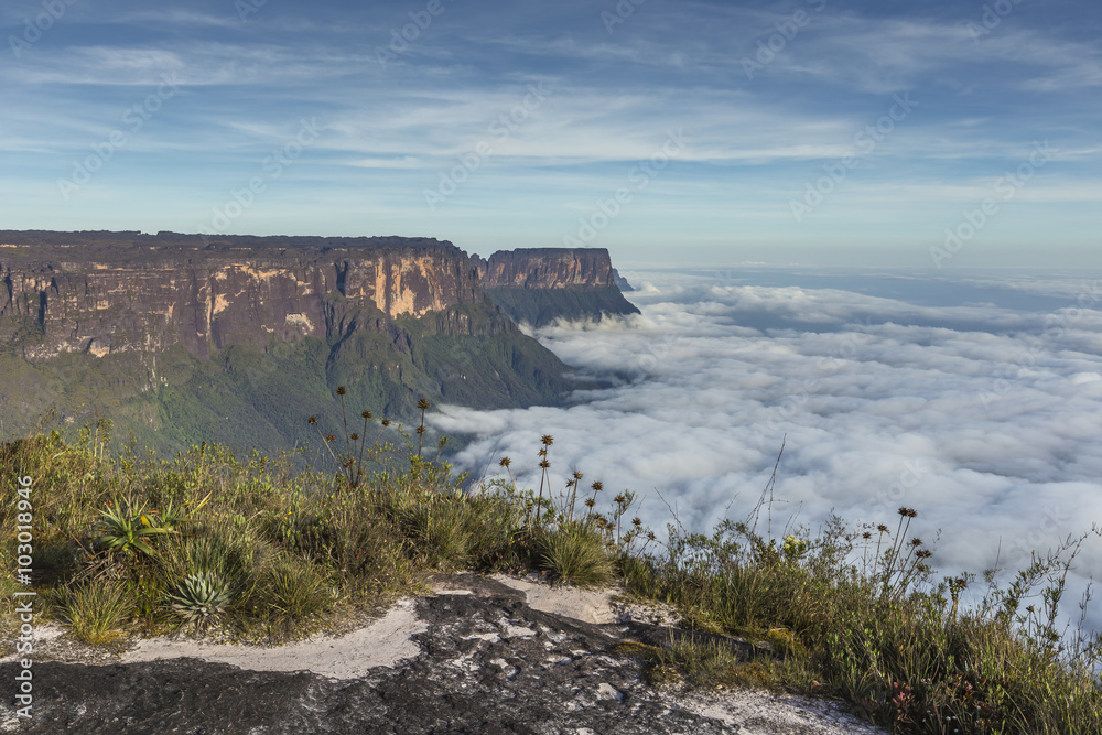 View from the Roraima tepui on Kukenan tepui at the mist - Venez