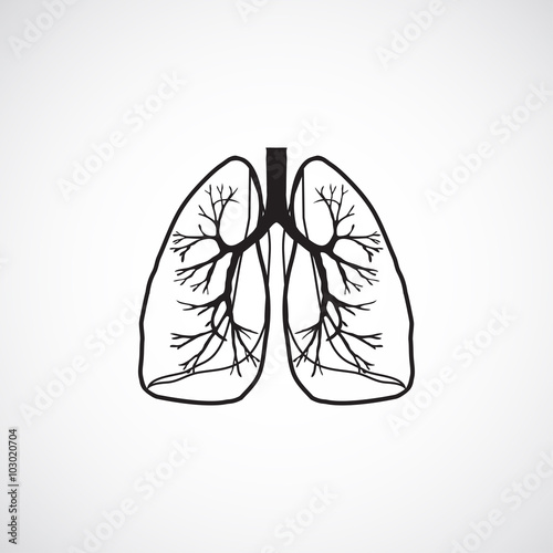 lungs  icon