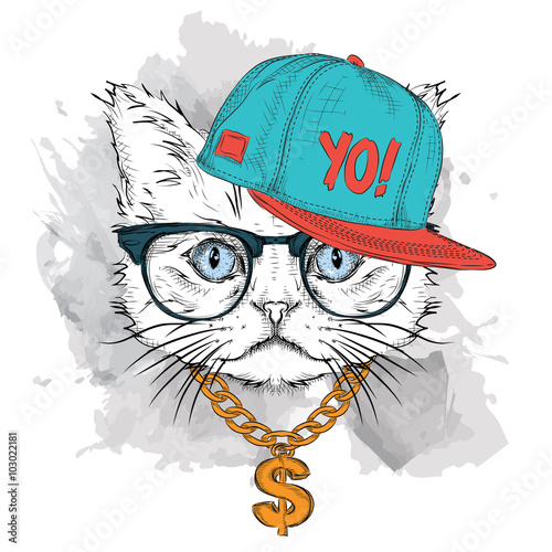 The poster with the image cat portrait in hip-hop hat. Vector illustration.