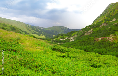 Green mountain ridge panorama, summer sunny day.