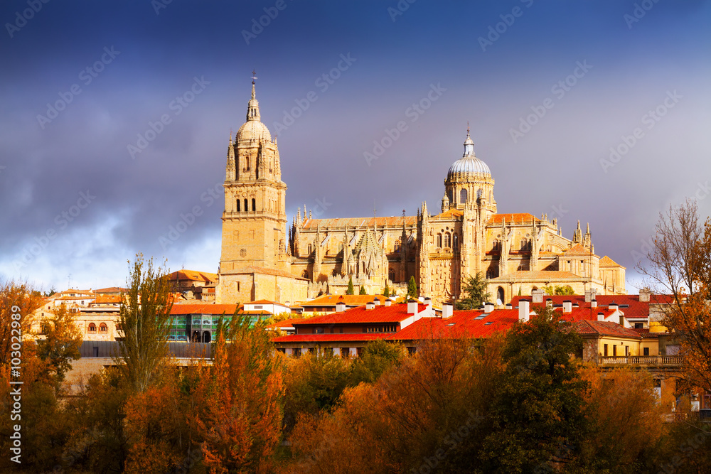 Day view of   Cathedral in Salamanca
