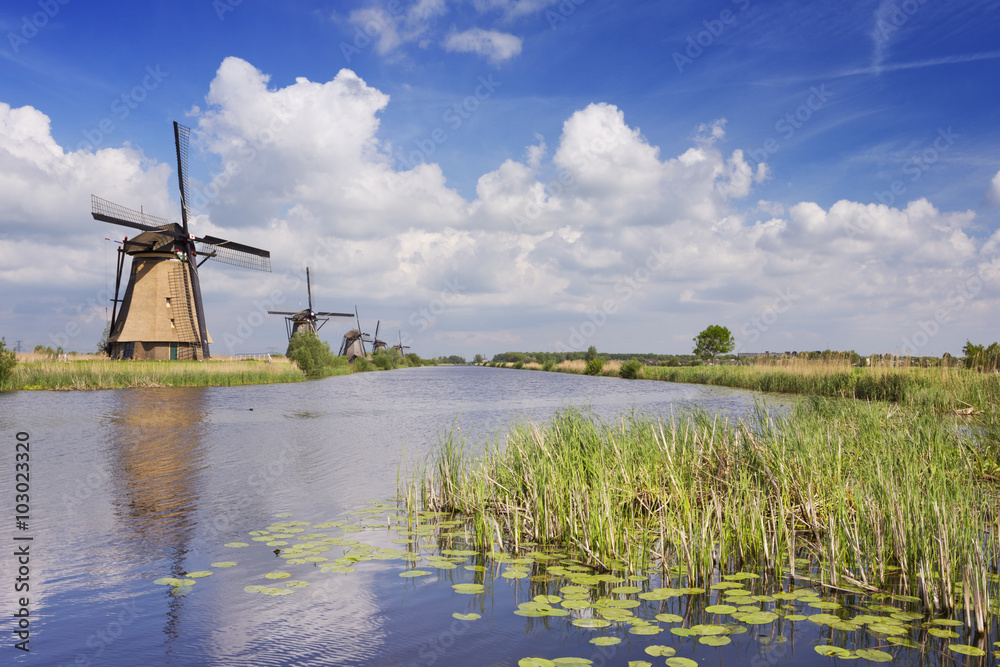 Traditional Dutch windmills on a sunny day at the Kinderdijk