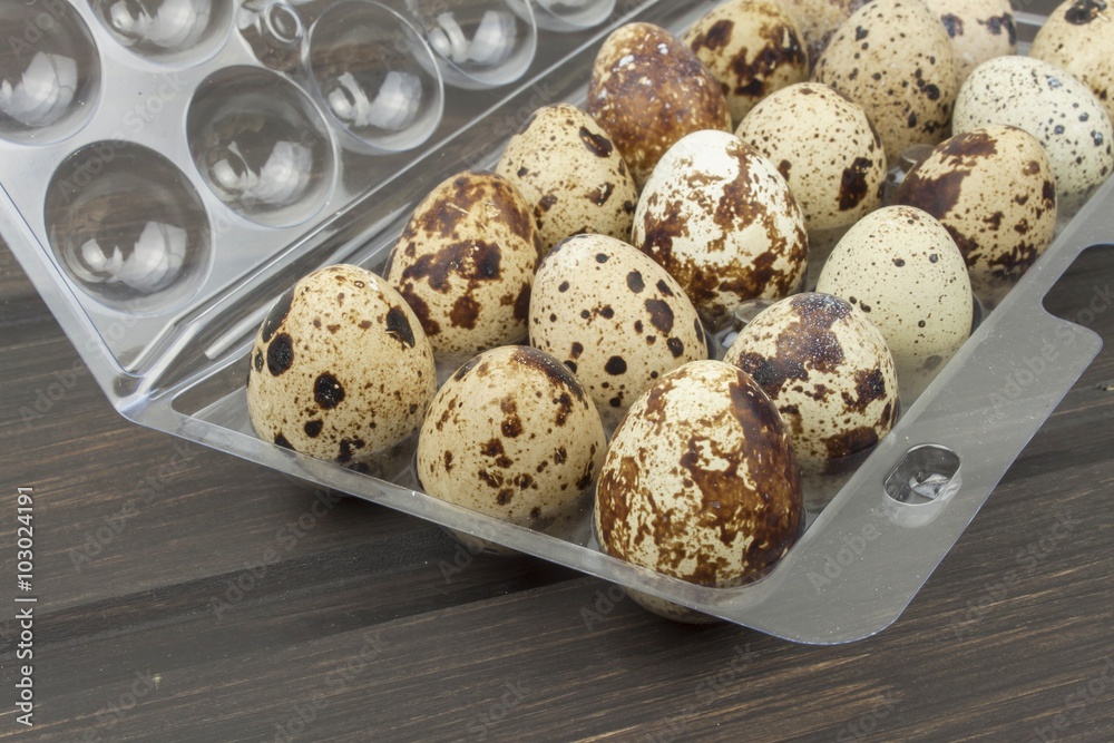 Quail eggs in a plastic carrying case.
Quail eggs in a plastic carrying case.