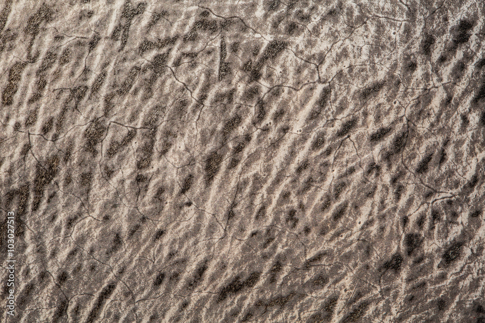 leather texture closeup.