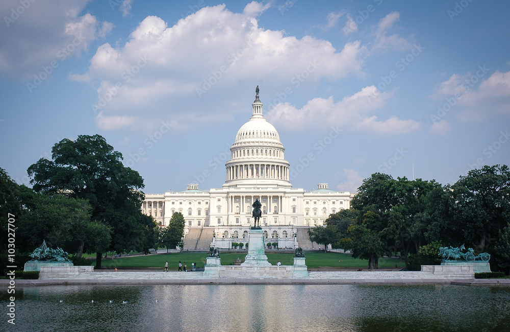 Obraz premium Capitol Building