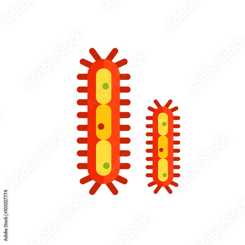 Bacteria with flagella