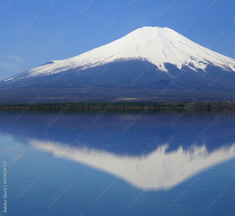 view of Mount Fuji with mirror reflection in lake, Japan