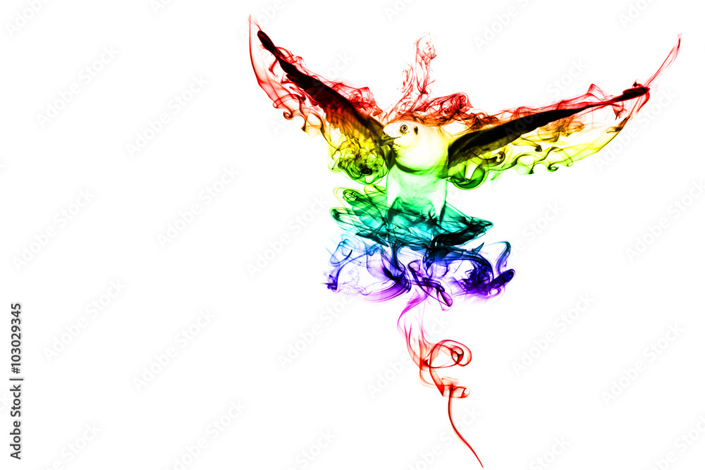 Obraz premium Color Bird