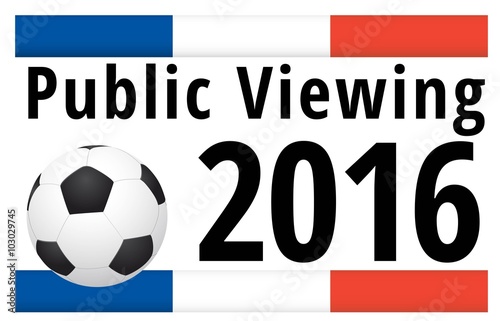 Public Viewing 2016 