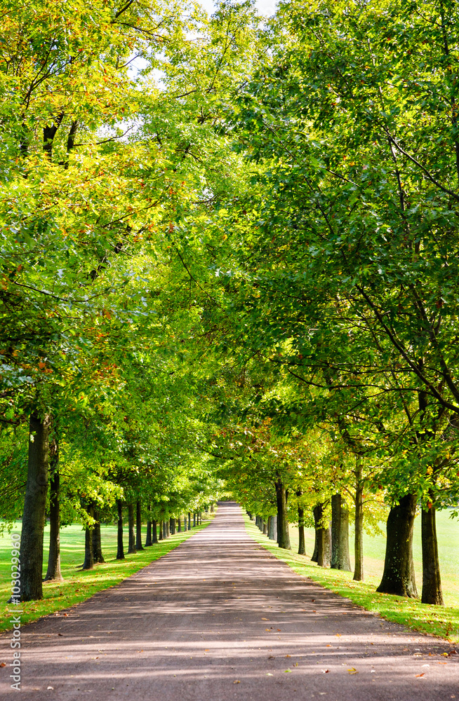 Naklejka premium Friendship Hill National Historic Site