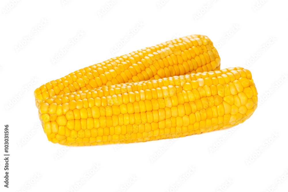 Ear of corn isolated on white Ear of corn isolated on white