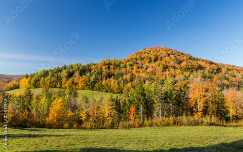 Falls foliage in Vermont countryside.