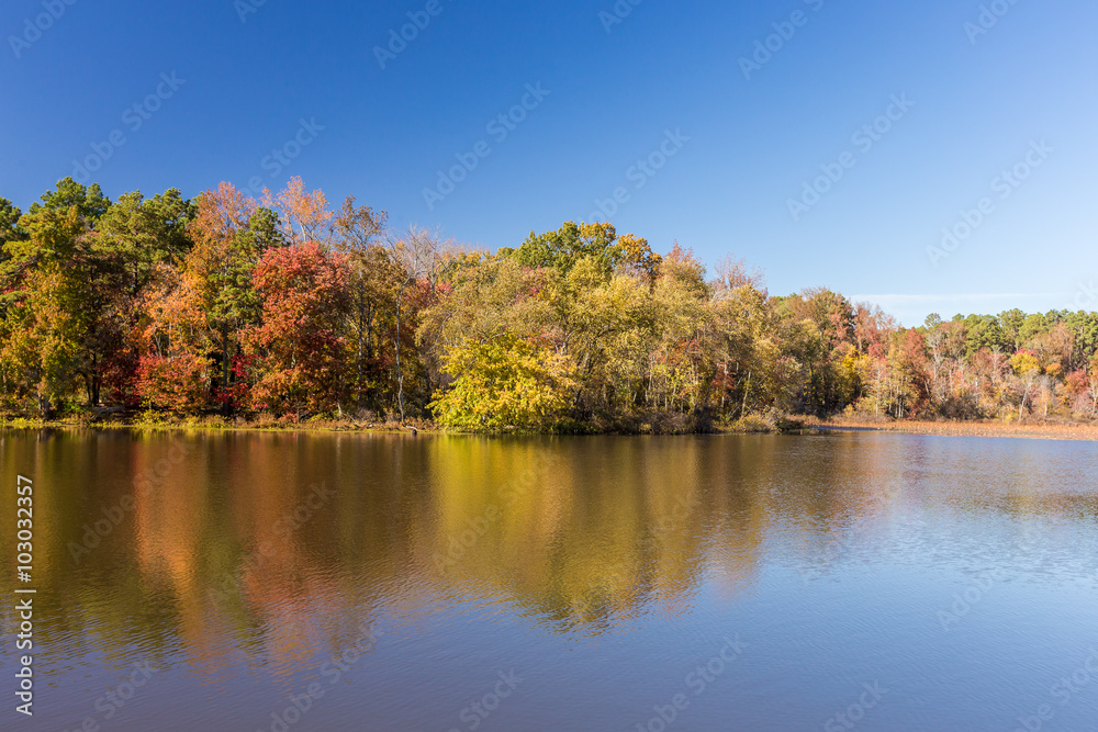 Arkansas fall landscape and lake in Petit Jean state park Arkansas fall landscape and lake in Petit Jean state park