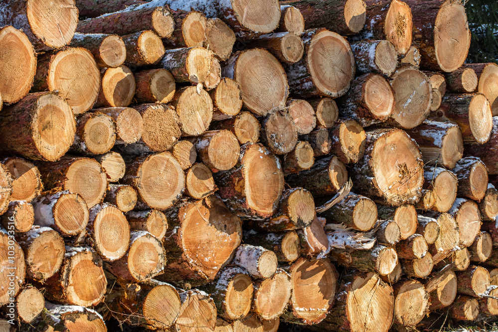 holzstapel