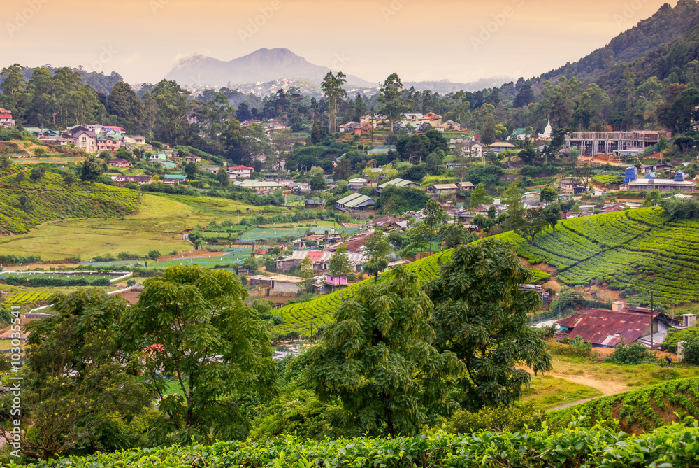 Obraz premium Sri Lanka