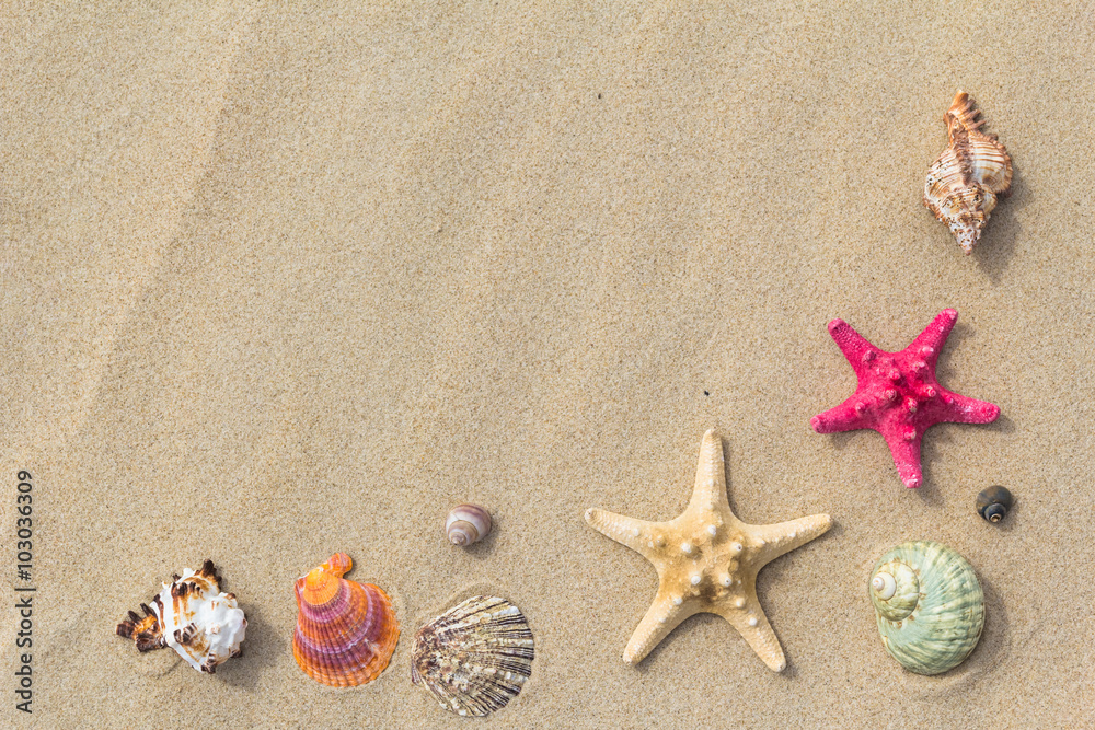 Beach background top view sea shells stars Beach background top view sea shells stars